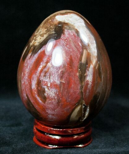 Tall Colorful Petrified Wood Egg #12417